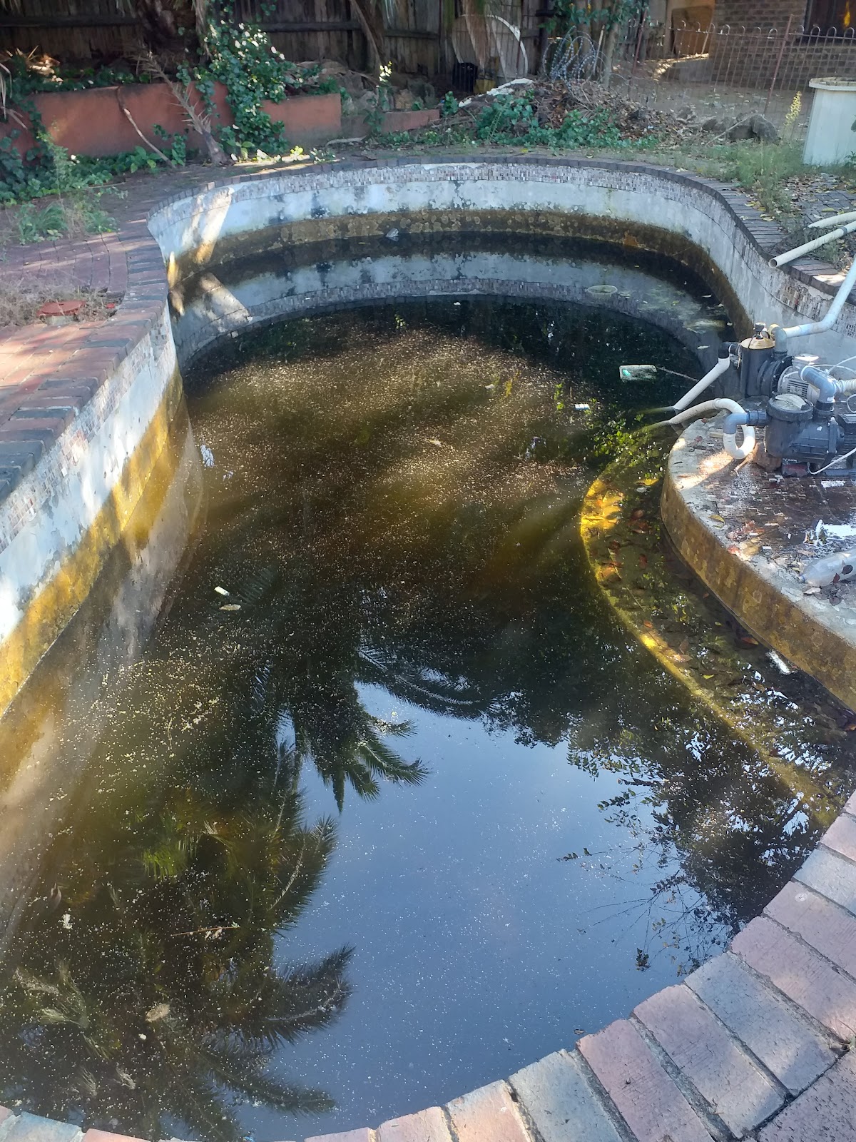 Pool Cleaning Project 5